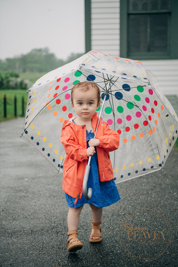 Rosenberg Family Reunion Pownal