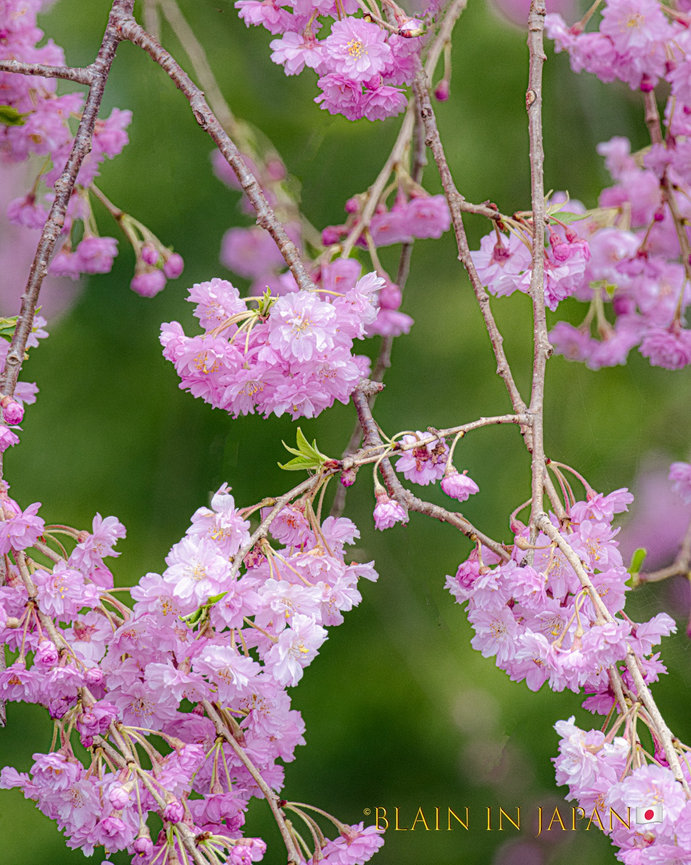 Japan Onsen Hot Springs - Japan Photo Tour