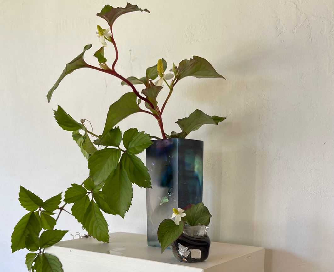 Izumi glass studio だより -自然からの色のプレゼント・サルスベリの花やヤブガラシの花の色- Gifts of Color from Nature