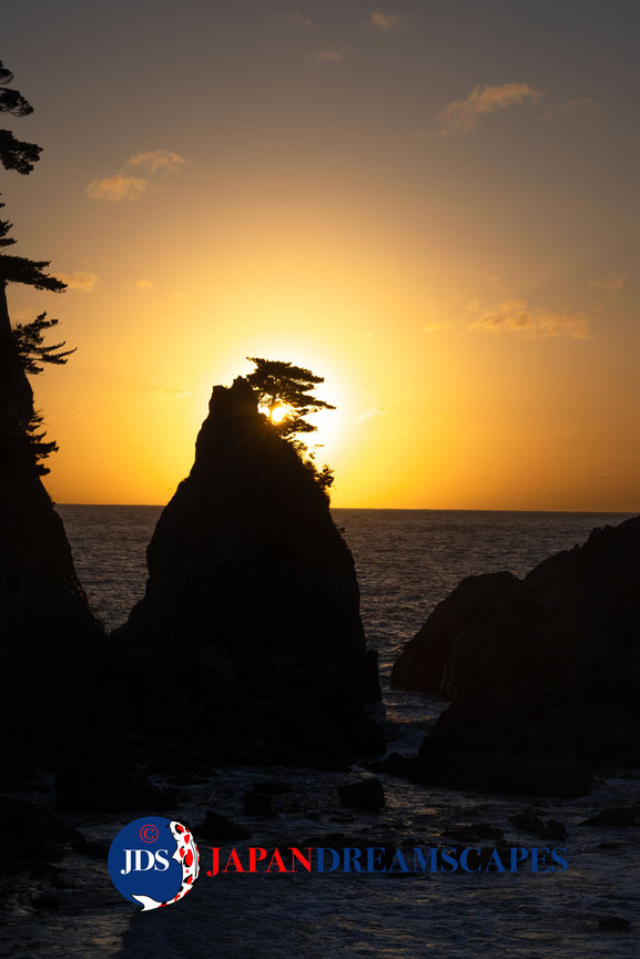 Japan Autumn Leaves Tour – Capture the Colors of Fall with JDS