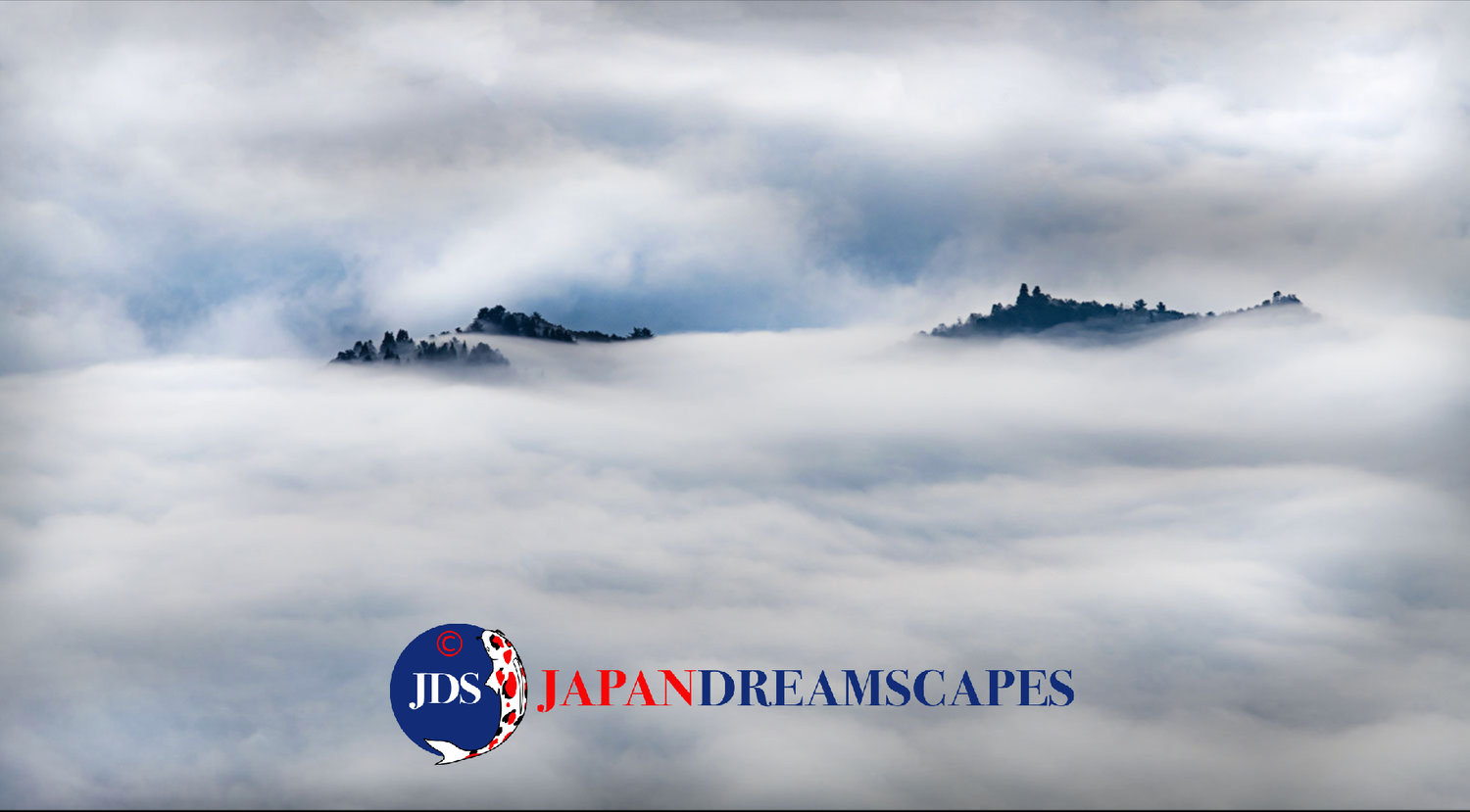 Japan Autumn Photography Tour Workshop