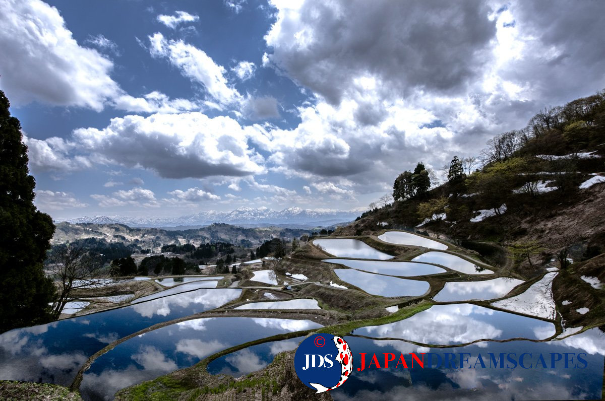 Japan Autumn Leaves Tour – Capture the Colors of Fall with JDS
