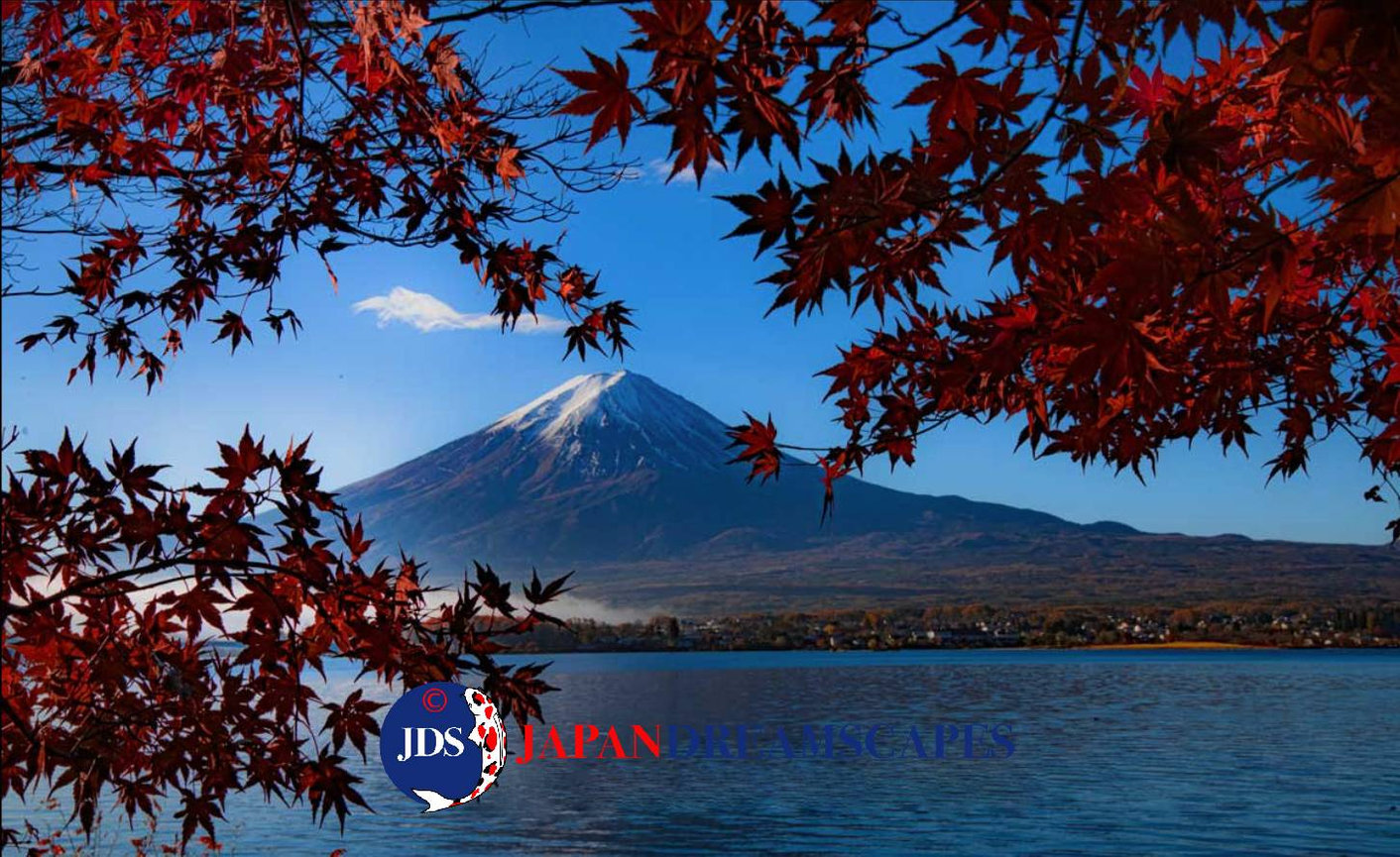 Japan Autumn Leaves Tour – Capture the Colors of Fall with JDS