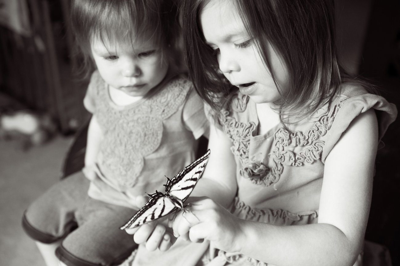Peterson Children Portraits - Girls with butterfly