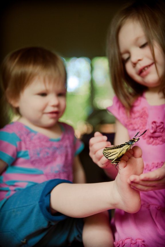 Peterson Children Portraits - Girls with butterfly
