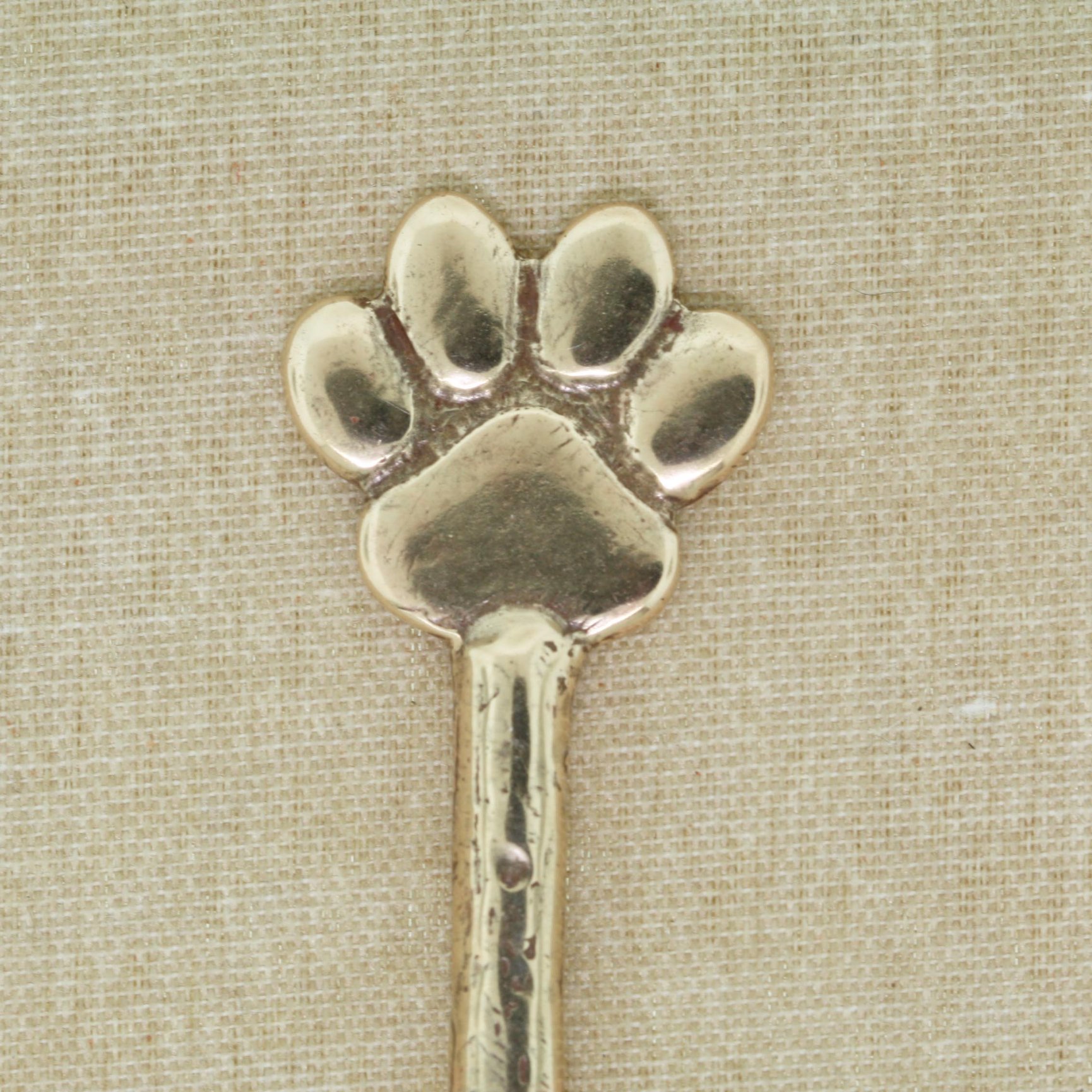 Bronze Medium Paw Pattern - DIY Castings
