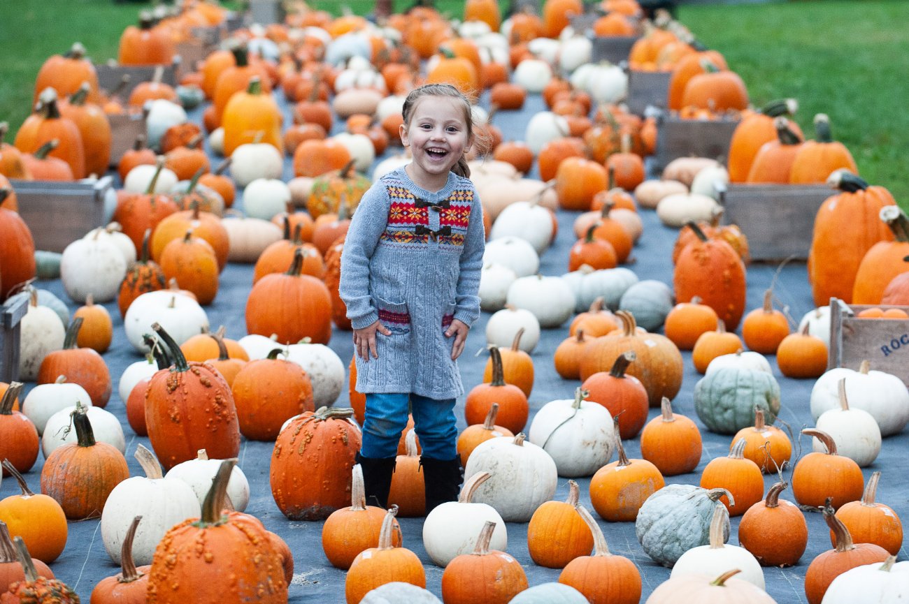 fall-mini-session-2018-sharyn-peavey-photography