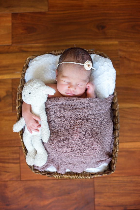 ASPEN NEWBORN PHOTOGRAPHER