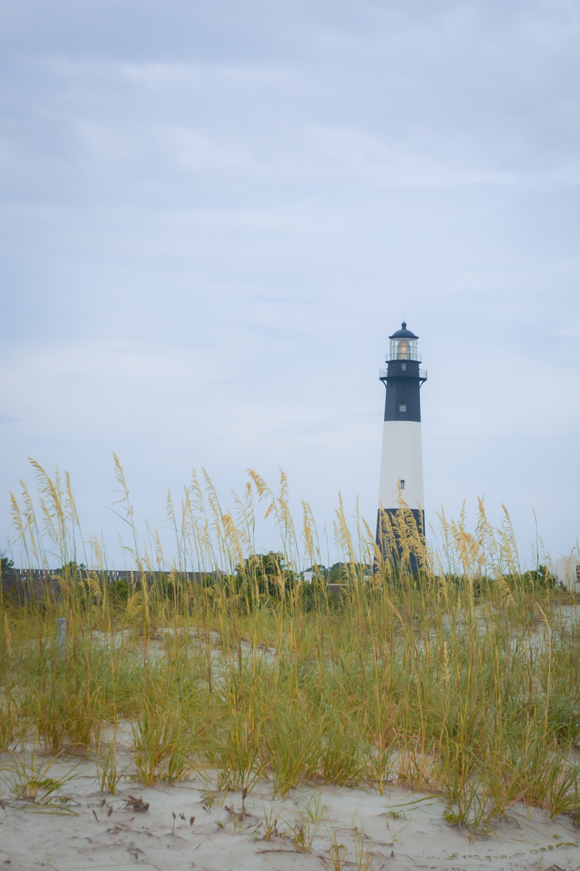 Camping Tybee Island - Sara Grise Photography