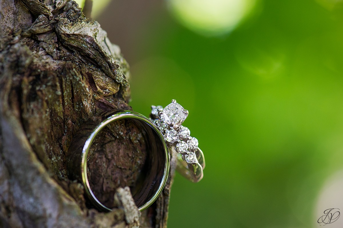 details of wedding rings on tree