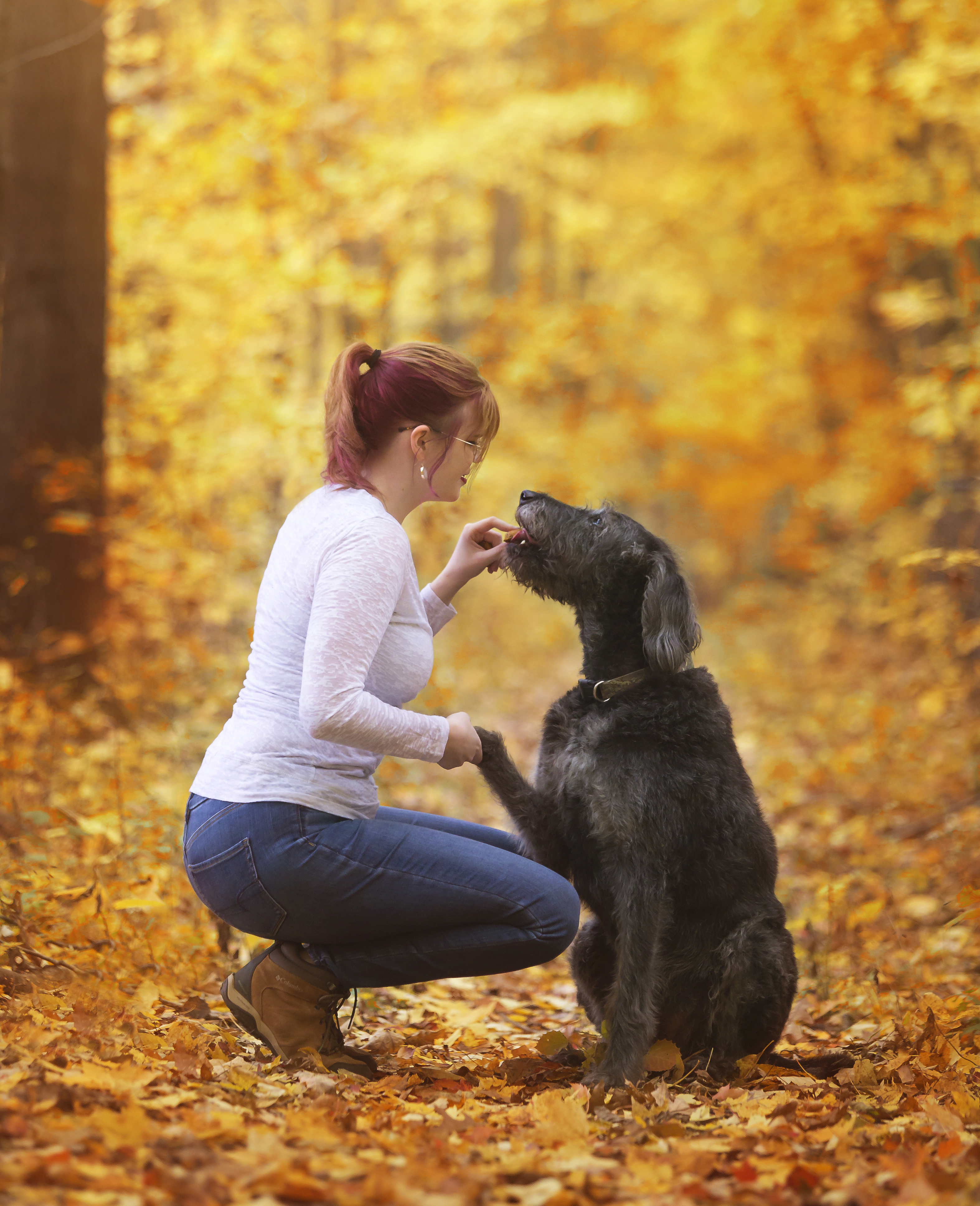Pet photo of dog with pet trainer in Flushing Michigan