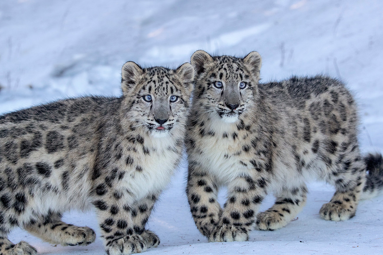 Depth of field and two subjects - Jim Zuckerman photography & photo tours