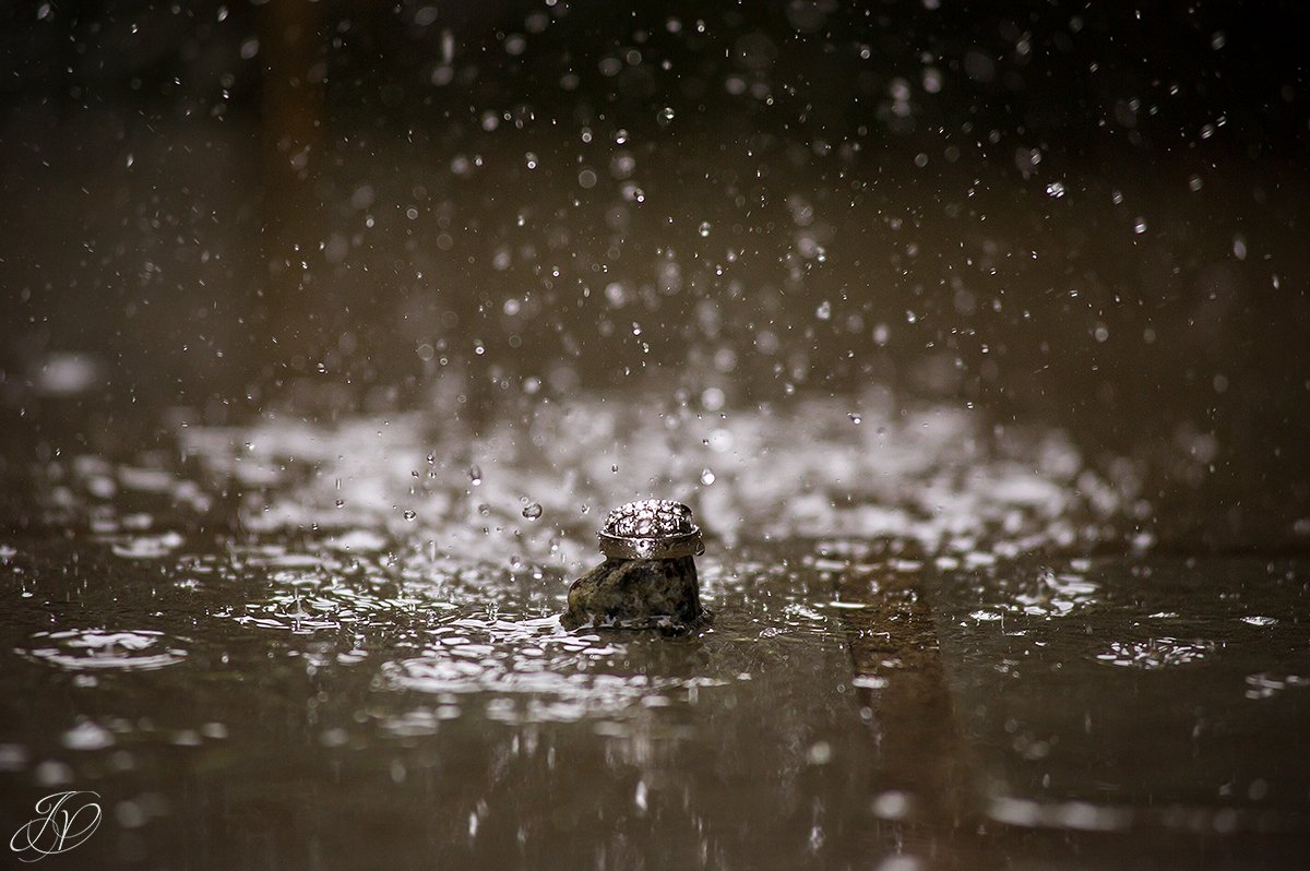 unique photo of wedding bands in raindrops