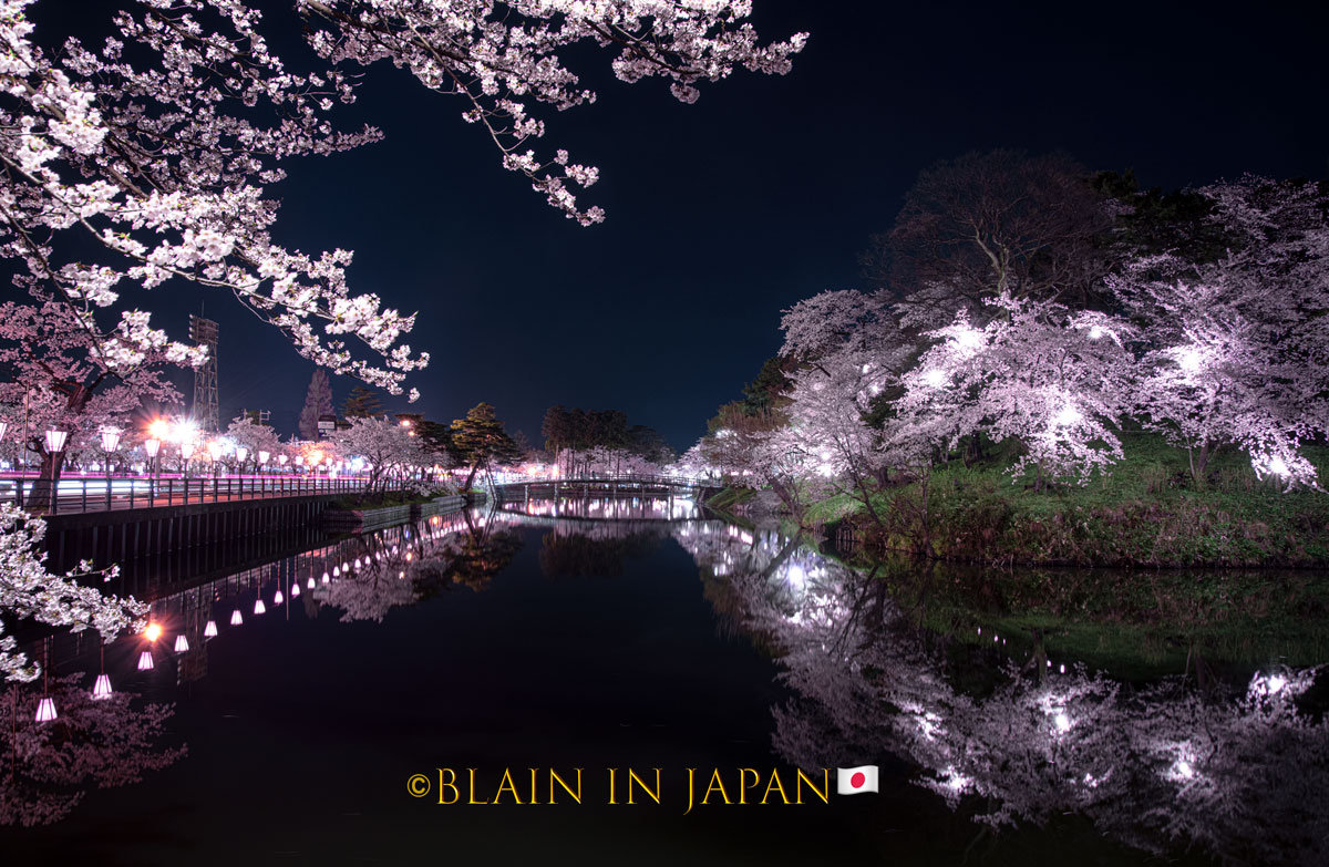 Chasing Cherry Blossoms Tour Japan Happy Spring Vernal Equinox 2021