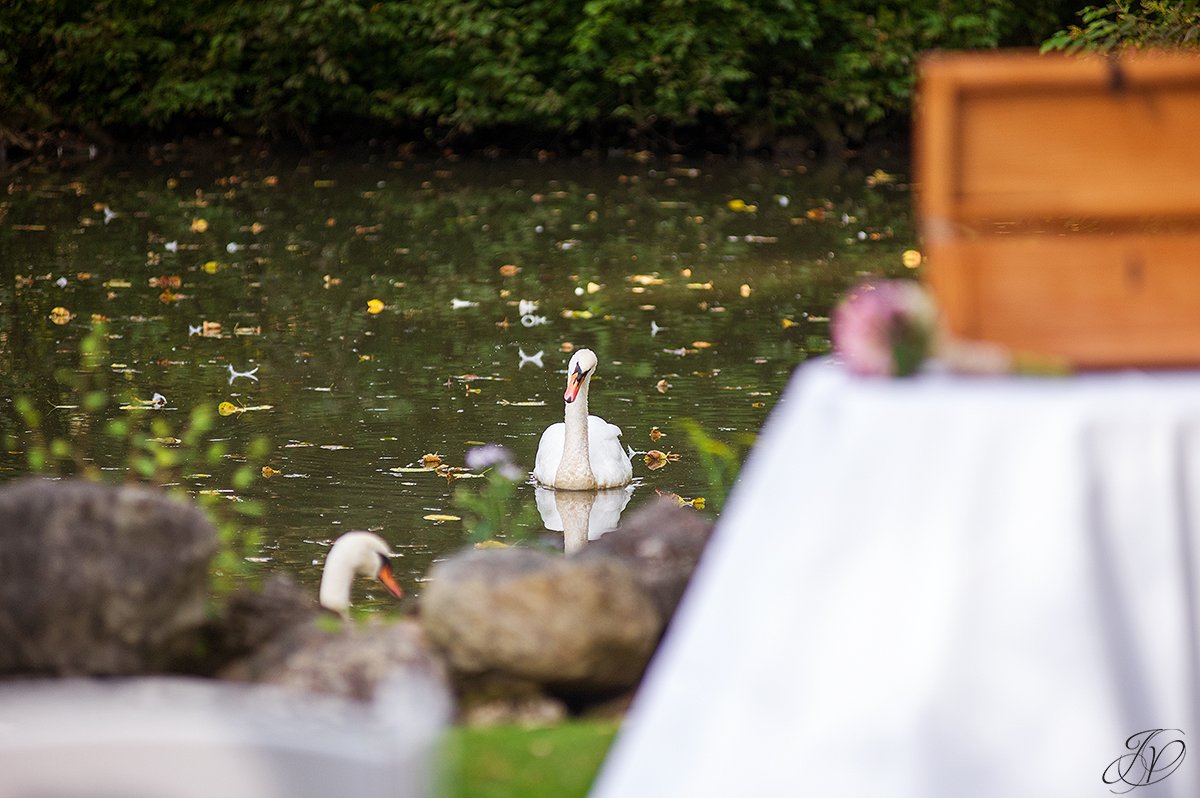 jessica painter photography, saratoga wedding photographer