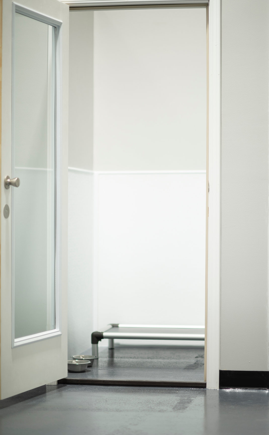 BOUTIQUE BOARDING Amarillo Fetch