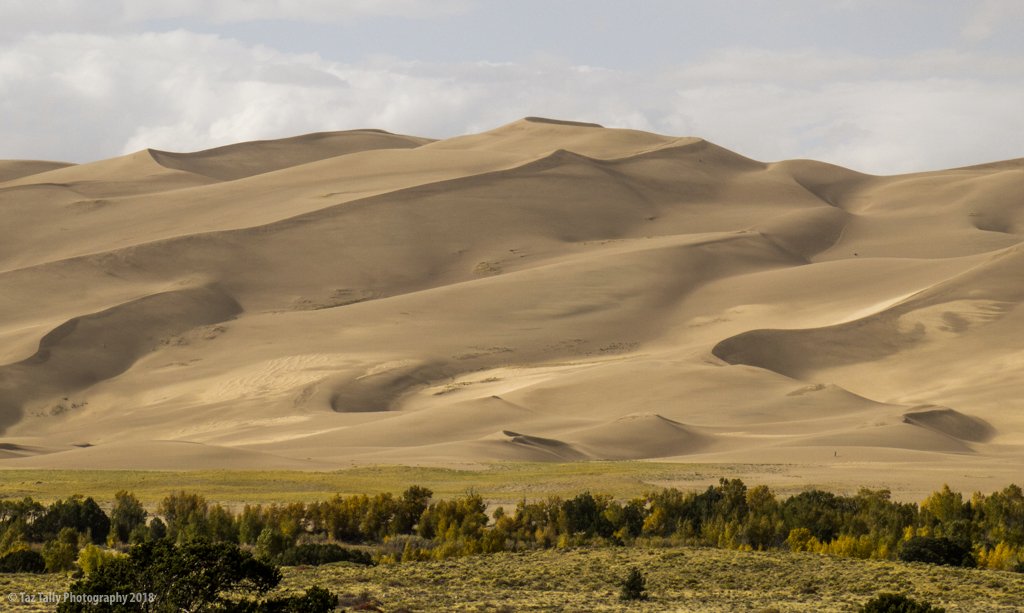 Great Sand Dunes National Park and Preserve - Taz Tally Photography