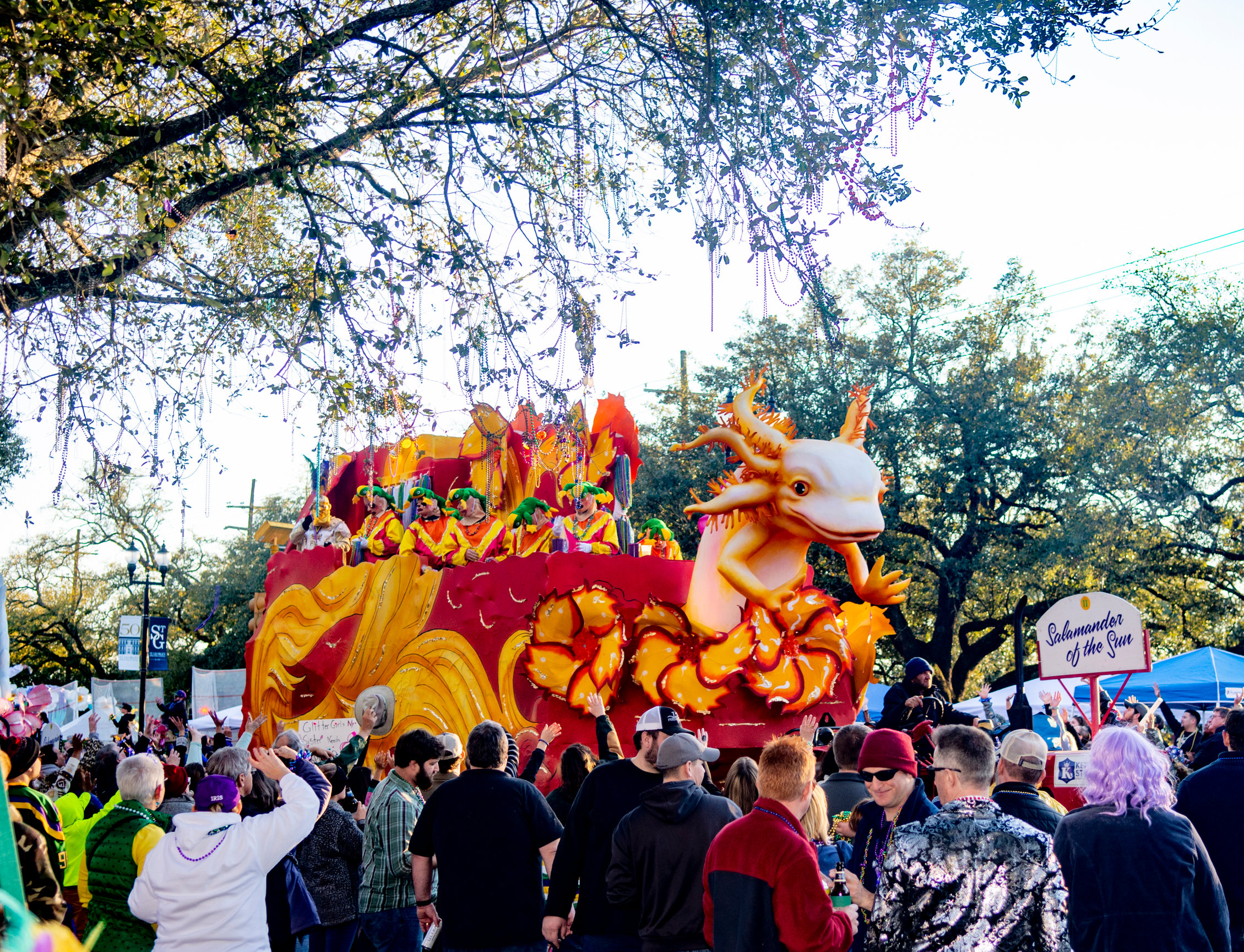 Mardi Gras Floats - Lee Henderson Photography