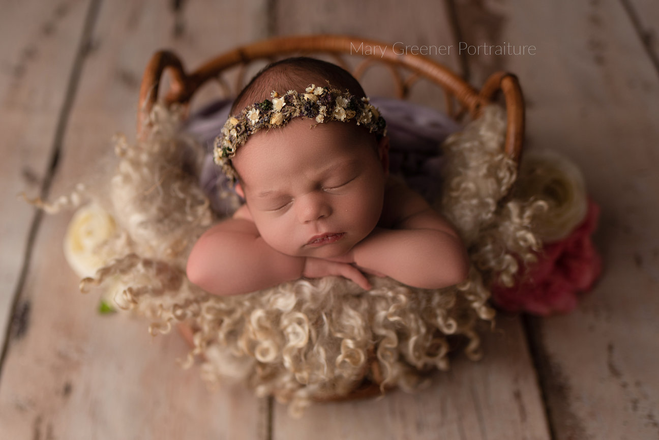 baby photography orlando, baby photographer in orlando, baby portraits near me