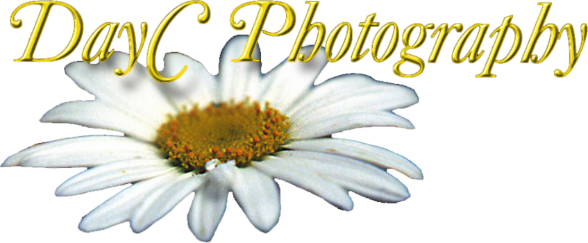 DayC Photography Logo