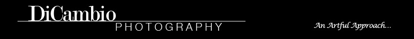 DiCambio Photography Logo