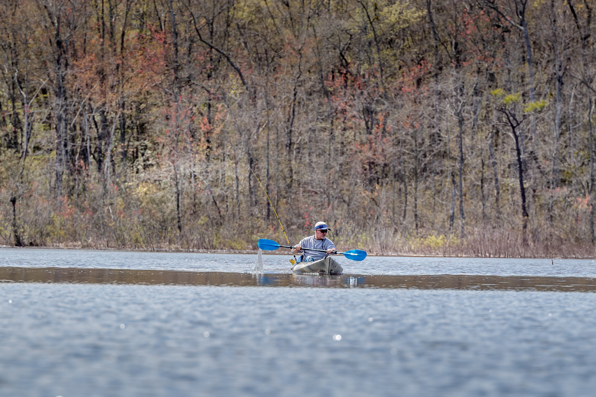 Kayak wildlife photography in Cat Point Creek April 5, 2020