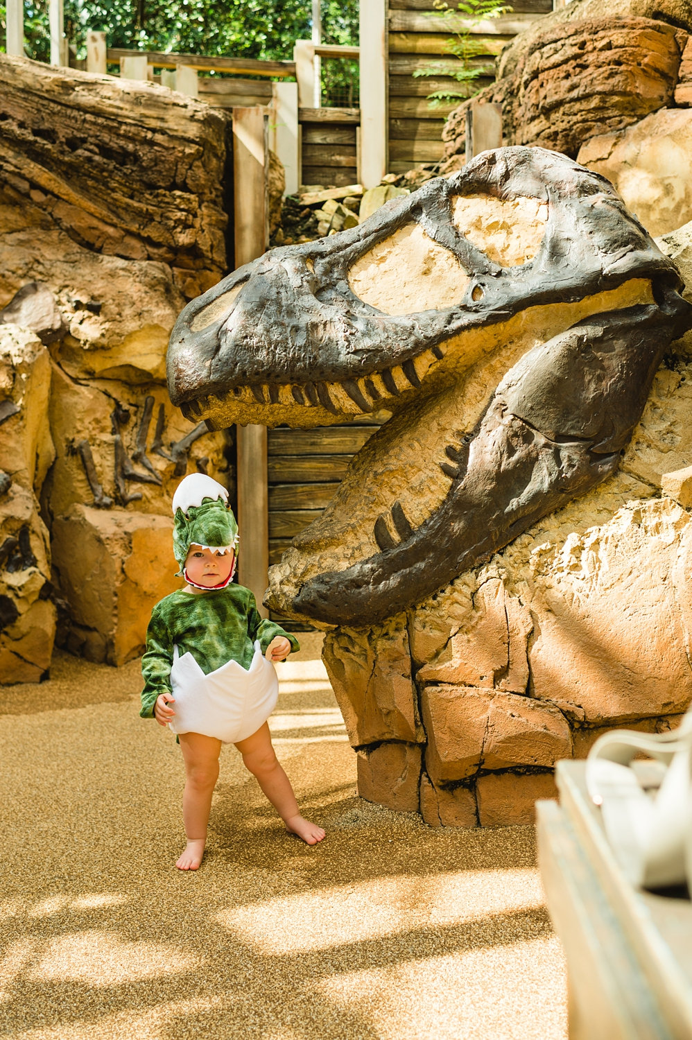 The Boneyard Playground, The Boneyard, Animal Kingdom Attractions