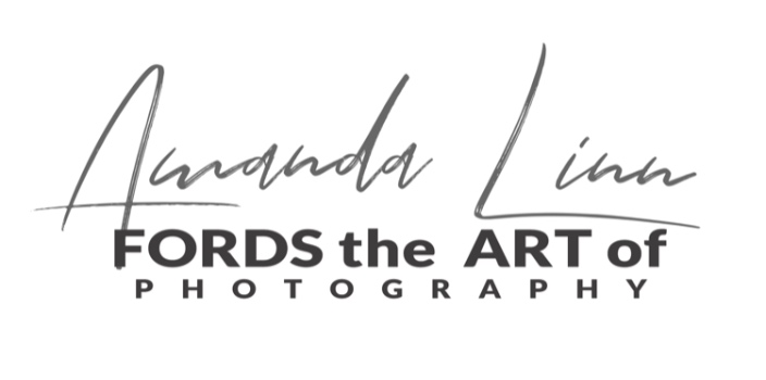 Fords the Art of Photography Logo