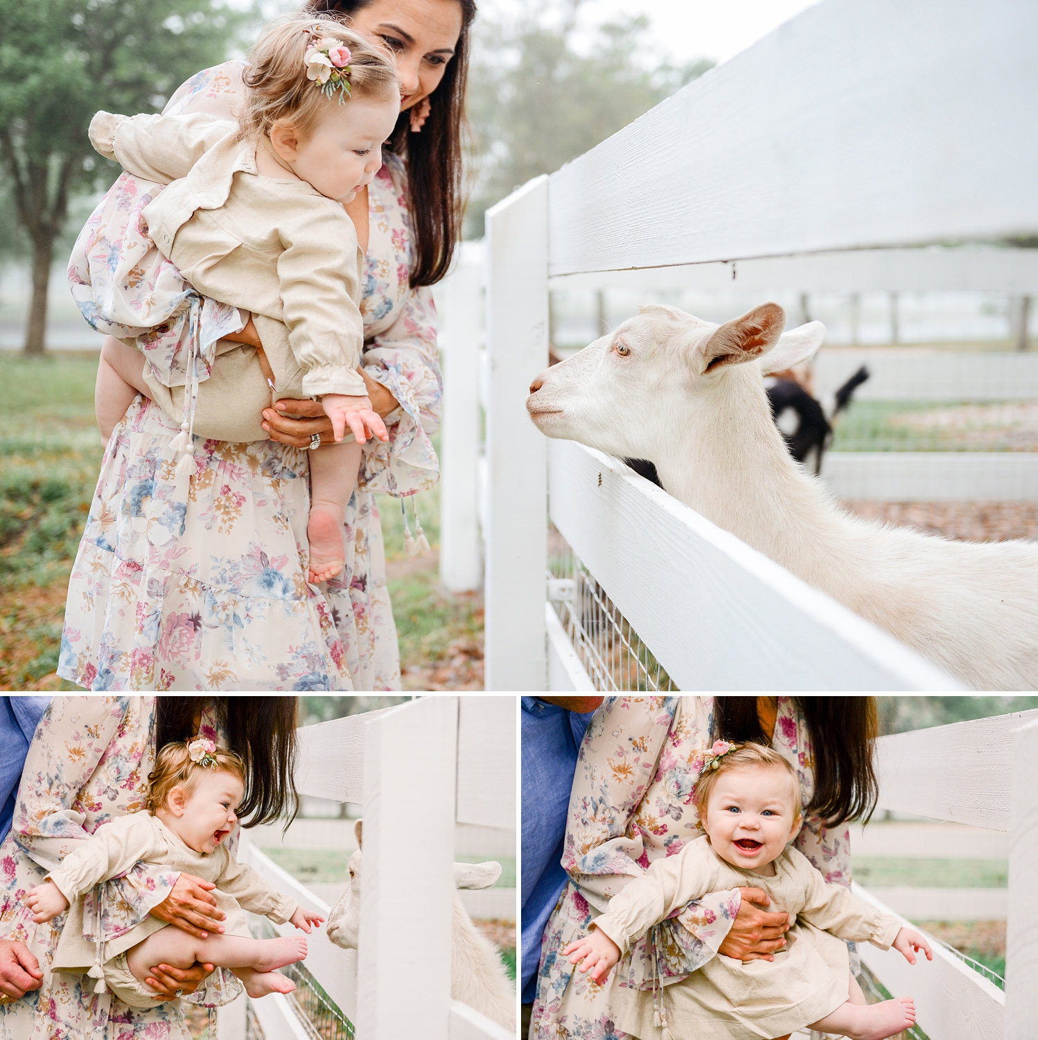 Congaree and Penn, family farm session, goats, goat with a baby, Ryaphotos