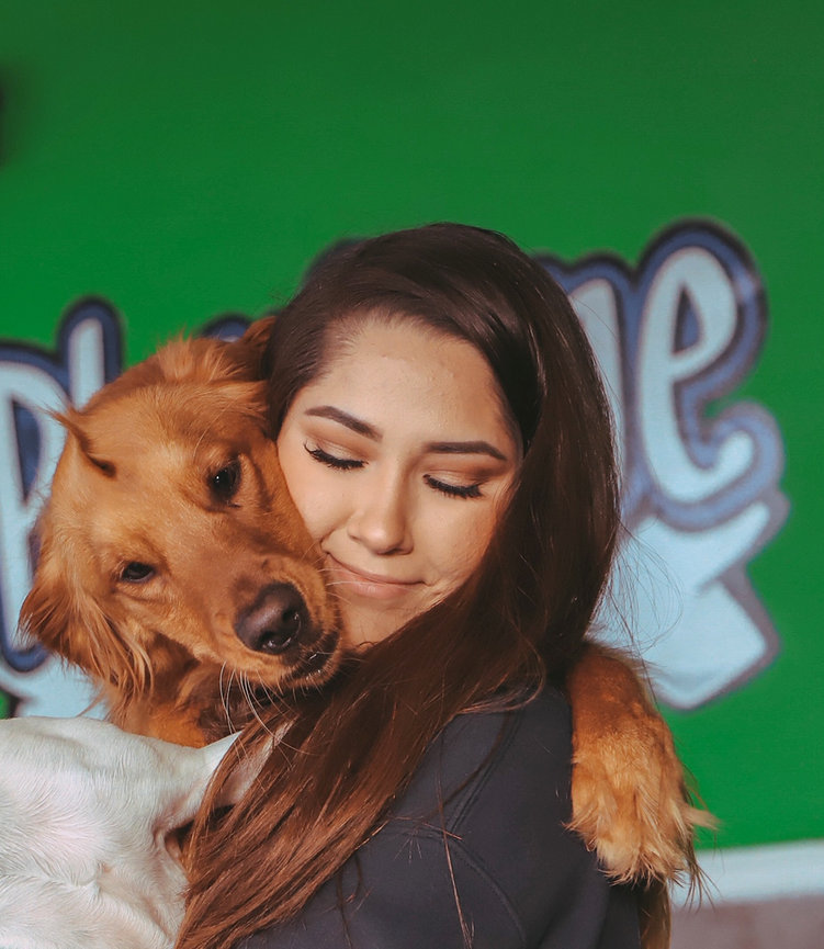 How Much Do Doggy Daycare Employees Make