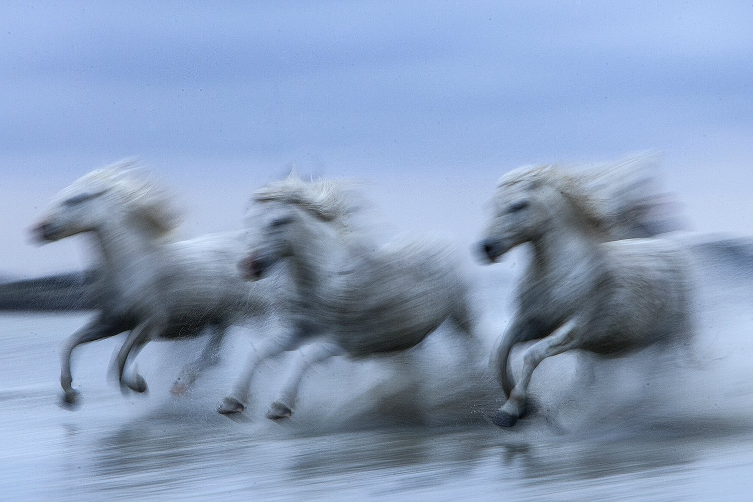 Motion Blur Jim Zuckerman Photography Photo Tours