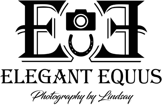 Elegant Equus LLC - photography by Lindsay Logo