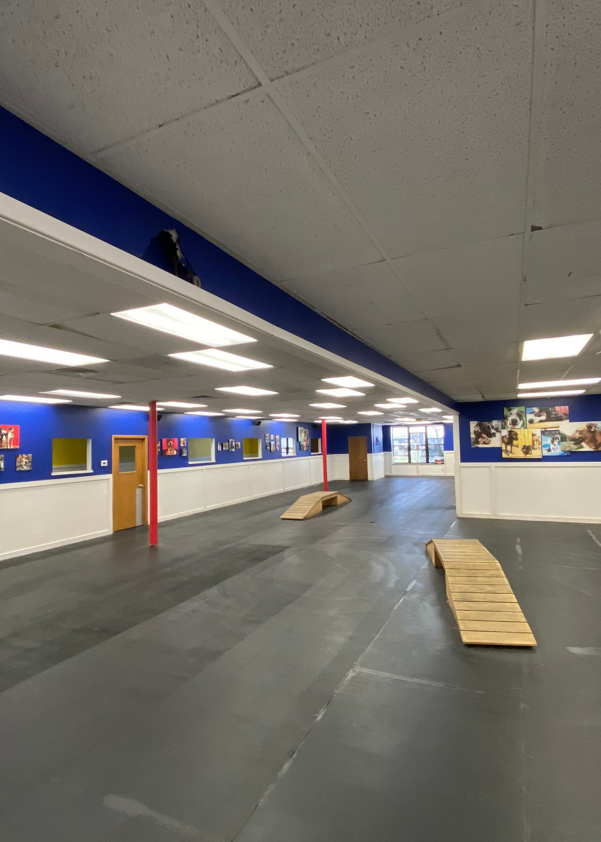 MILWAUKEE Playtime Doggy Daycare