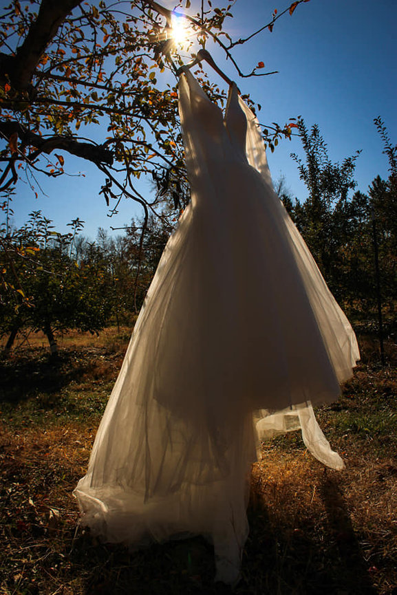 Wedding dress hanging in a sunset orchard
