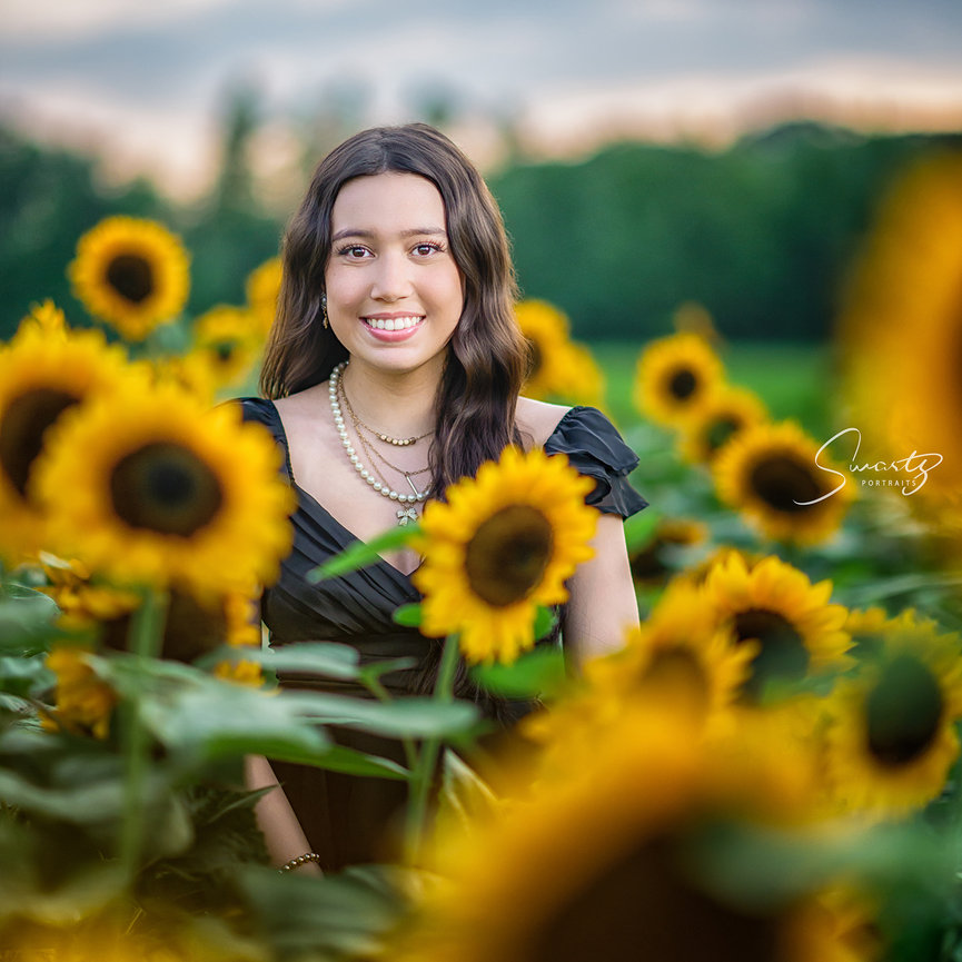 Senior girl portrait in a sunflower field at sunset — fine art photography by Swartz Portraits Sugar Land Fort Bend ISD Texas senior photographer