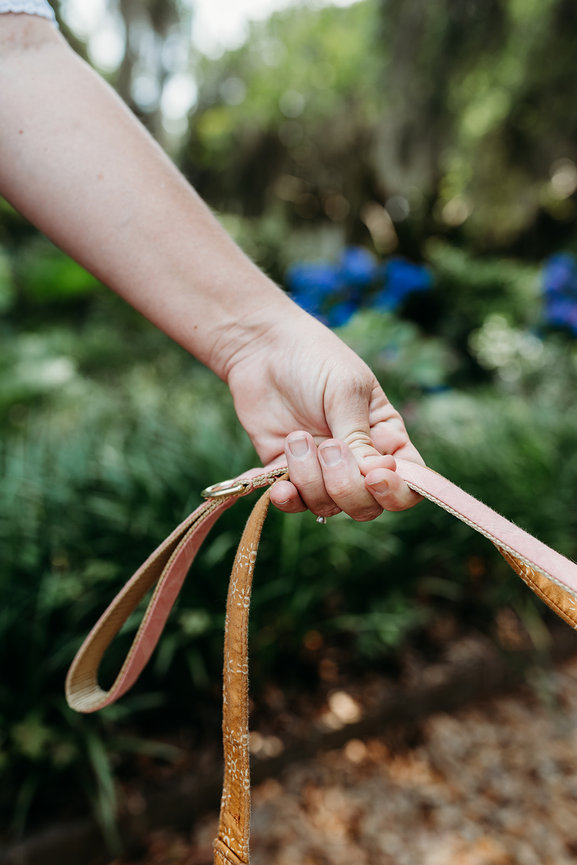 A woman's hand holds two dog leashes