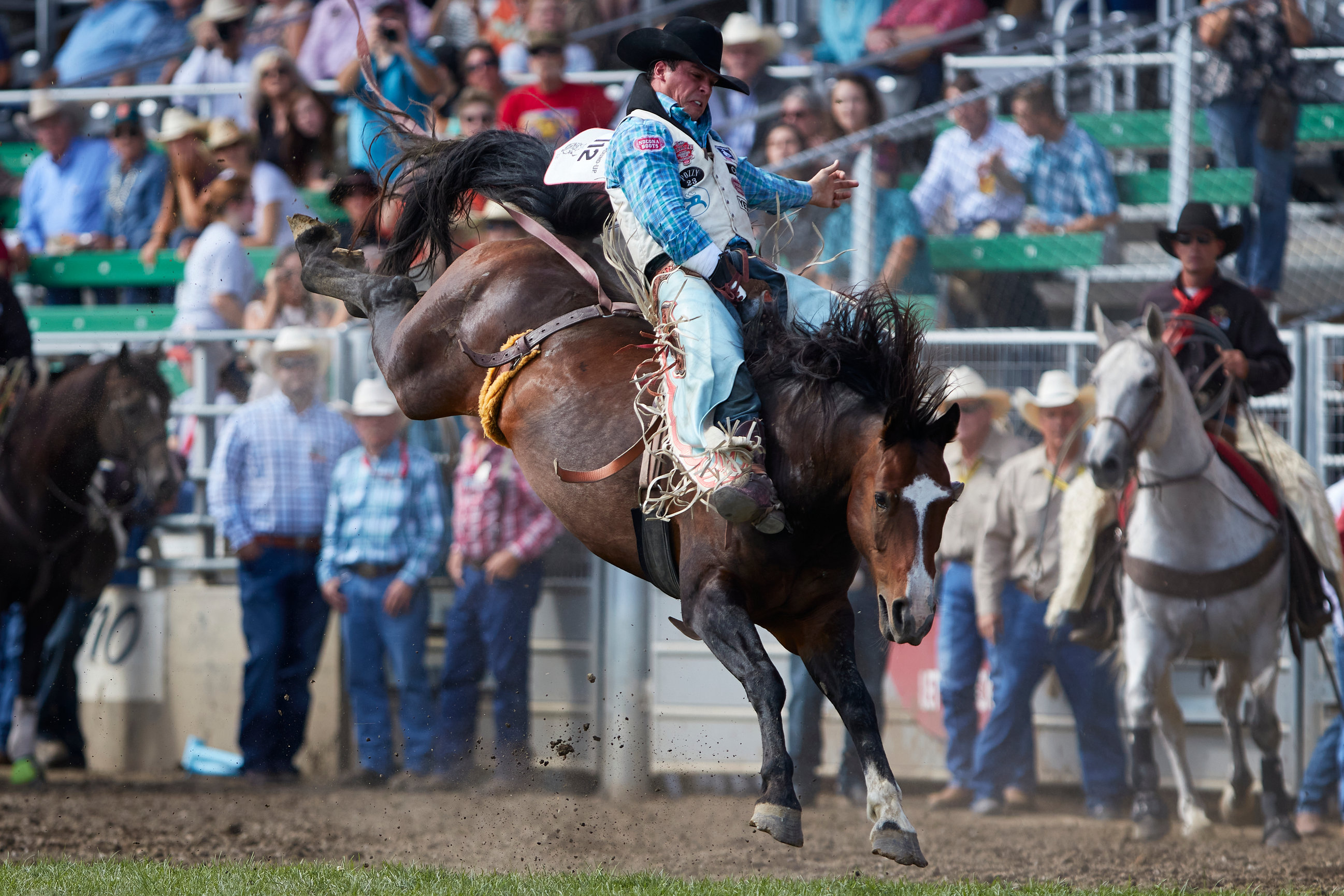 Billie-Jean Duff | Rodeo Photography