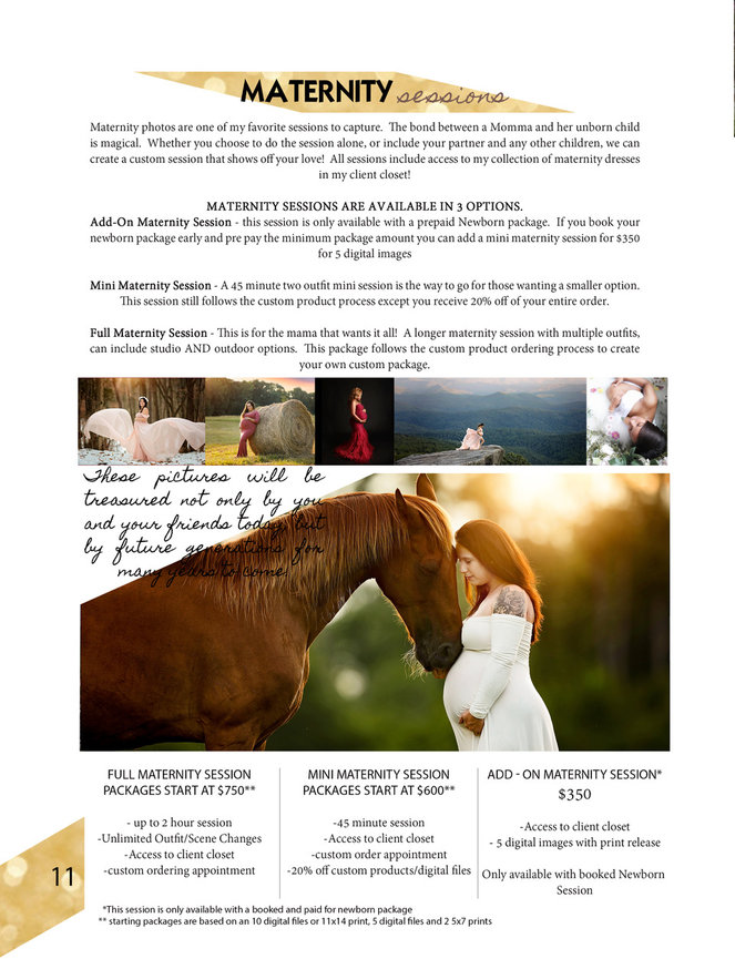 Mooresville NC portrait studio, Photographer in Mooresville NC, best photography studio charlotte nc