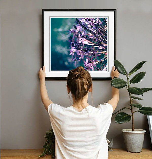HOME | Susan Phelps Fine Art Flower PHOTOGRAPHY | WOKINGHAM