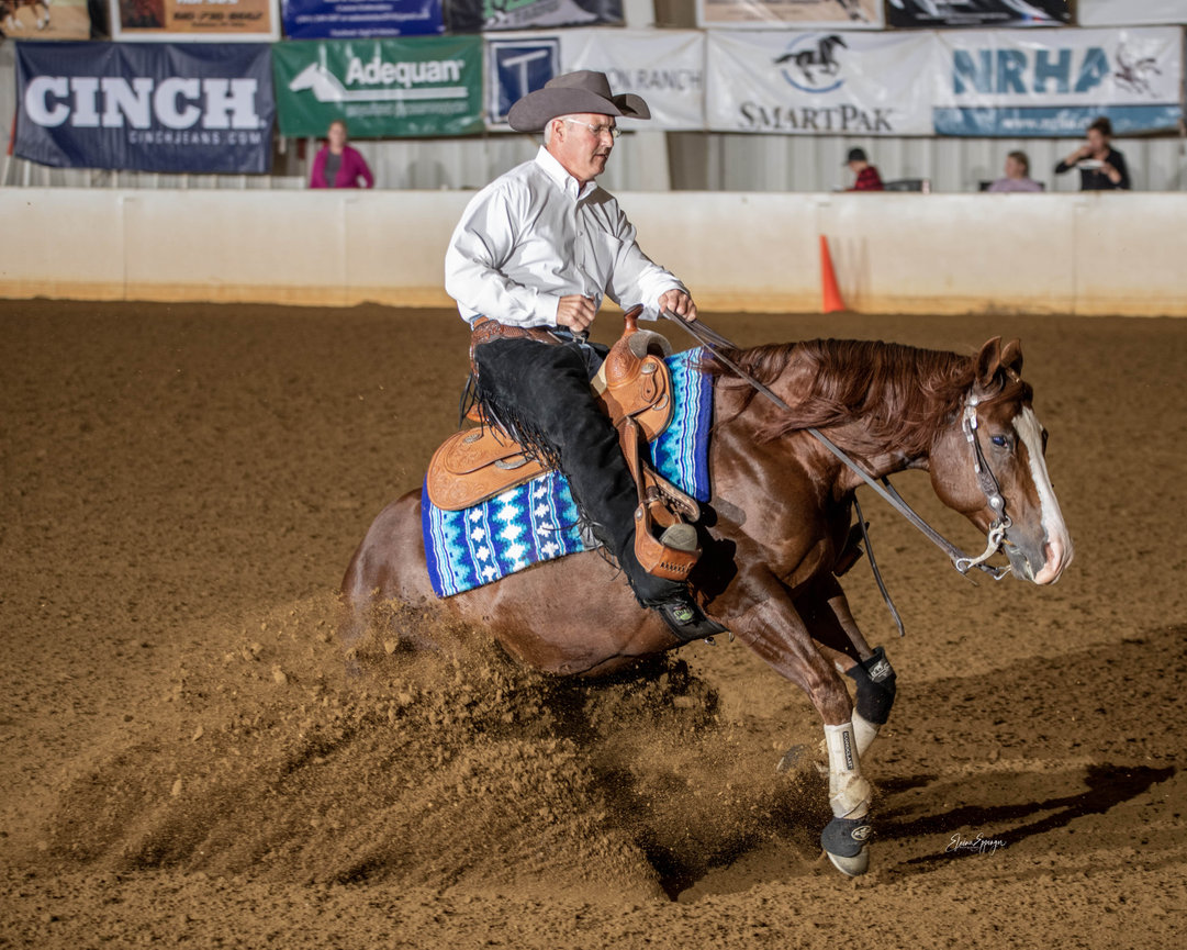 View Horse Show Galleries Here