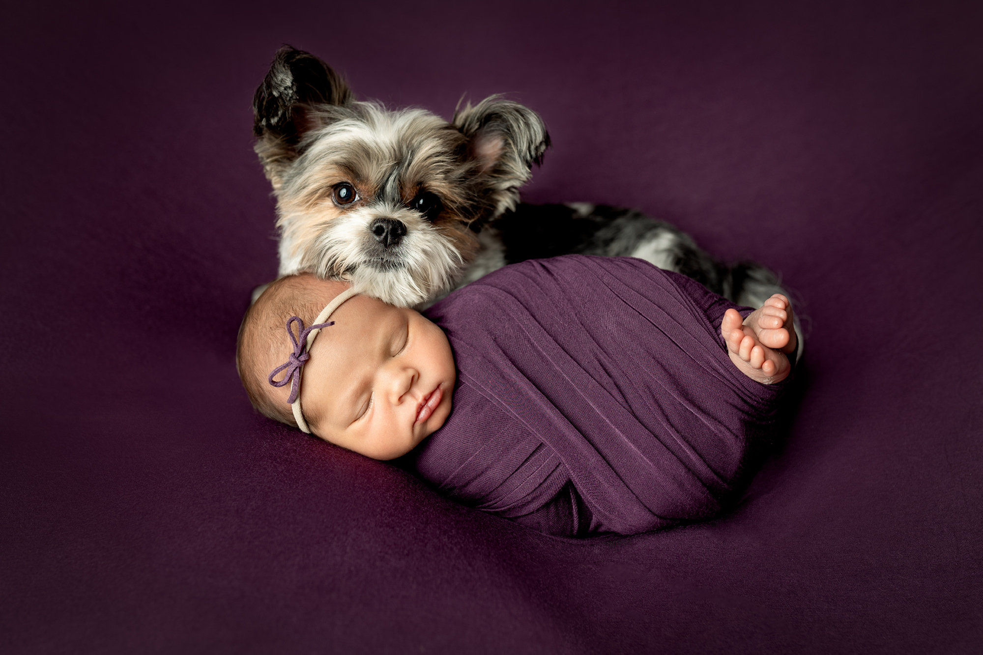Curated visual reference: Picture Idea: Now Booking Infant Portrait Sessions