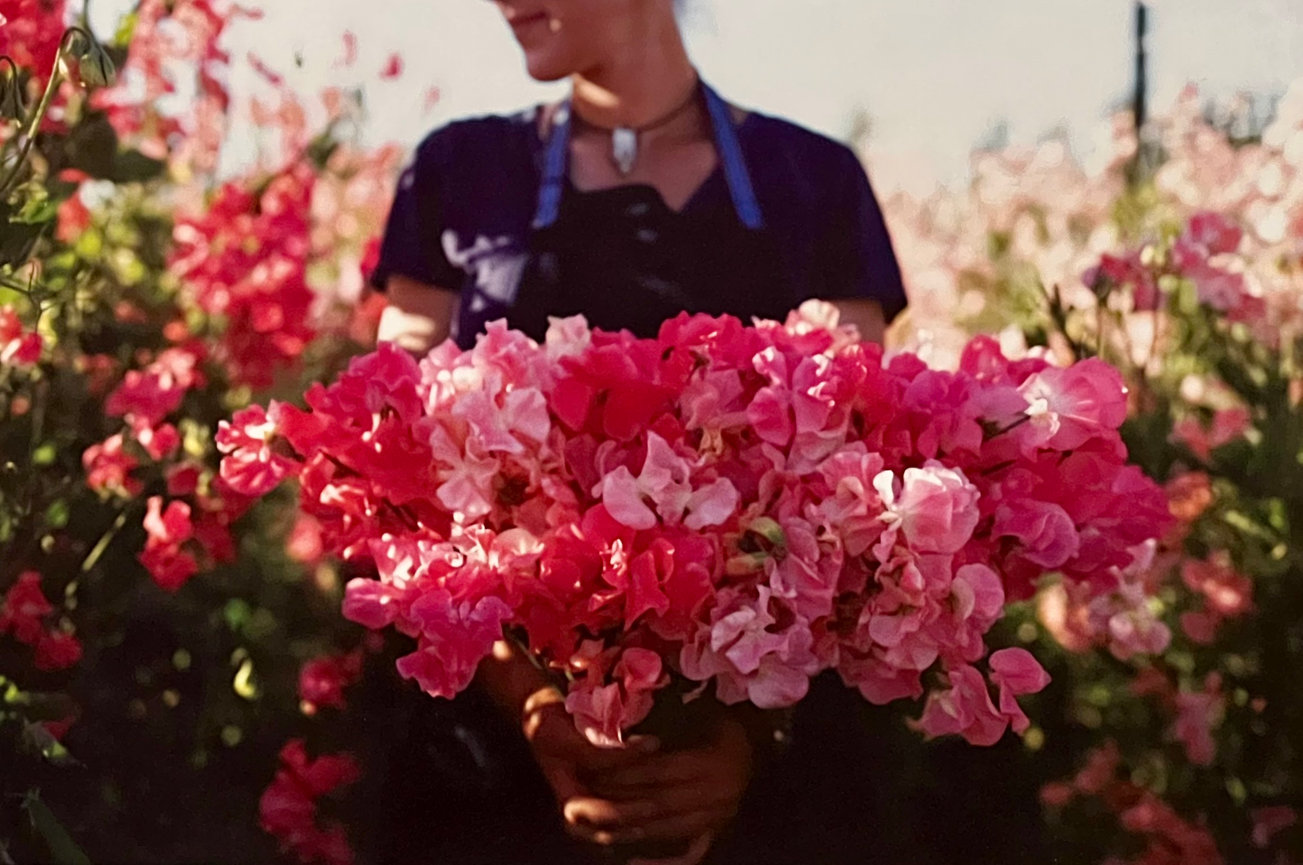 MY CURRENT OBSESSION: Floret Flower Farm