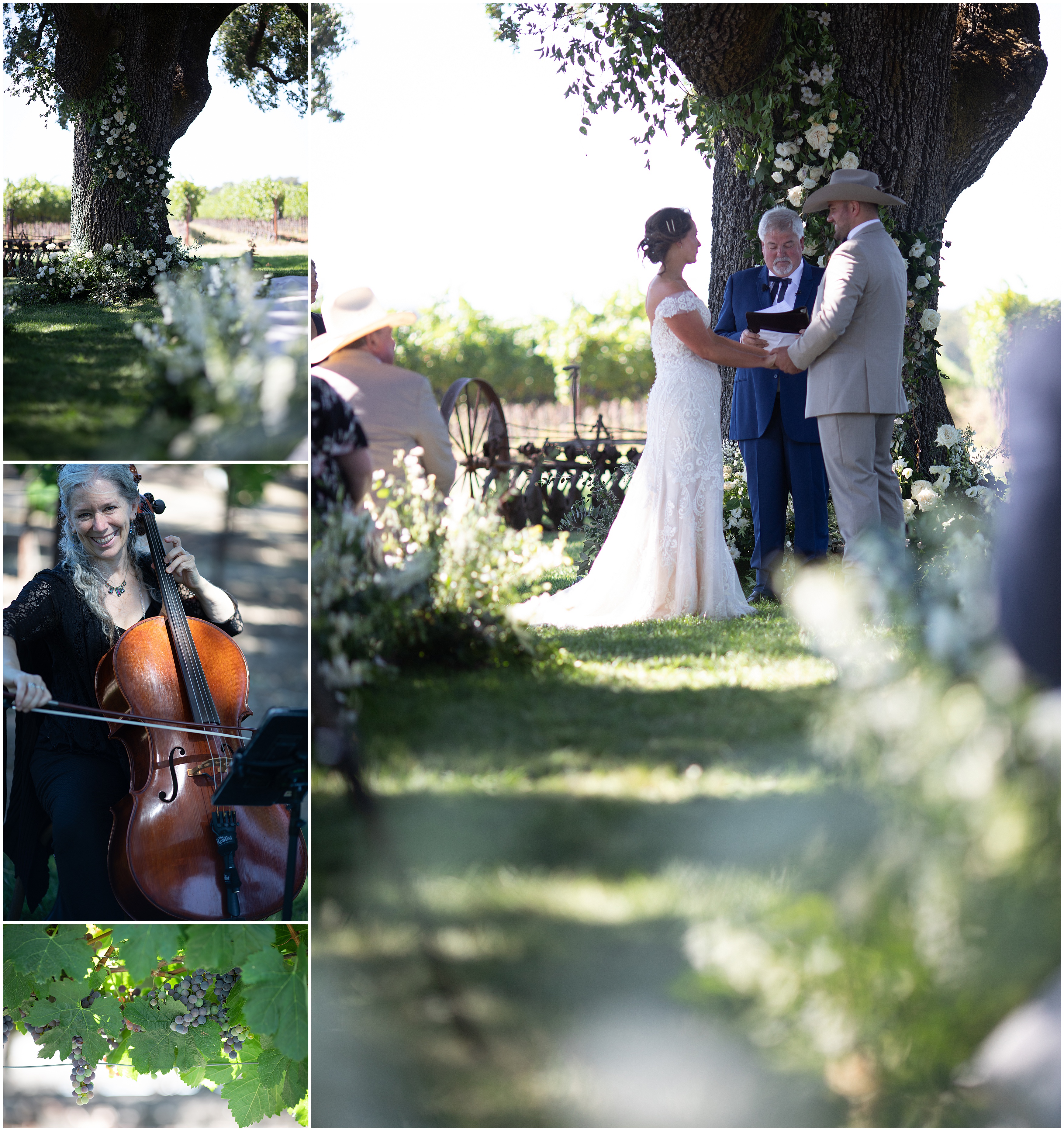 Wedding Ceremony under the oak trees in Sonoma Ca