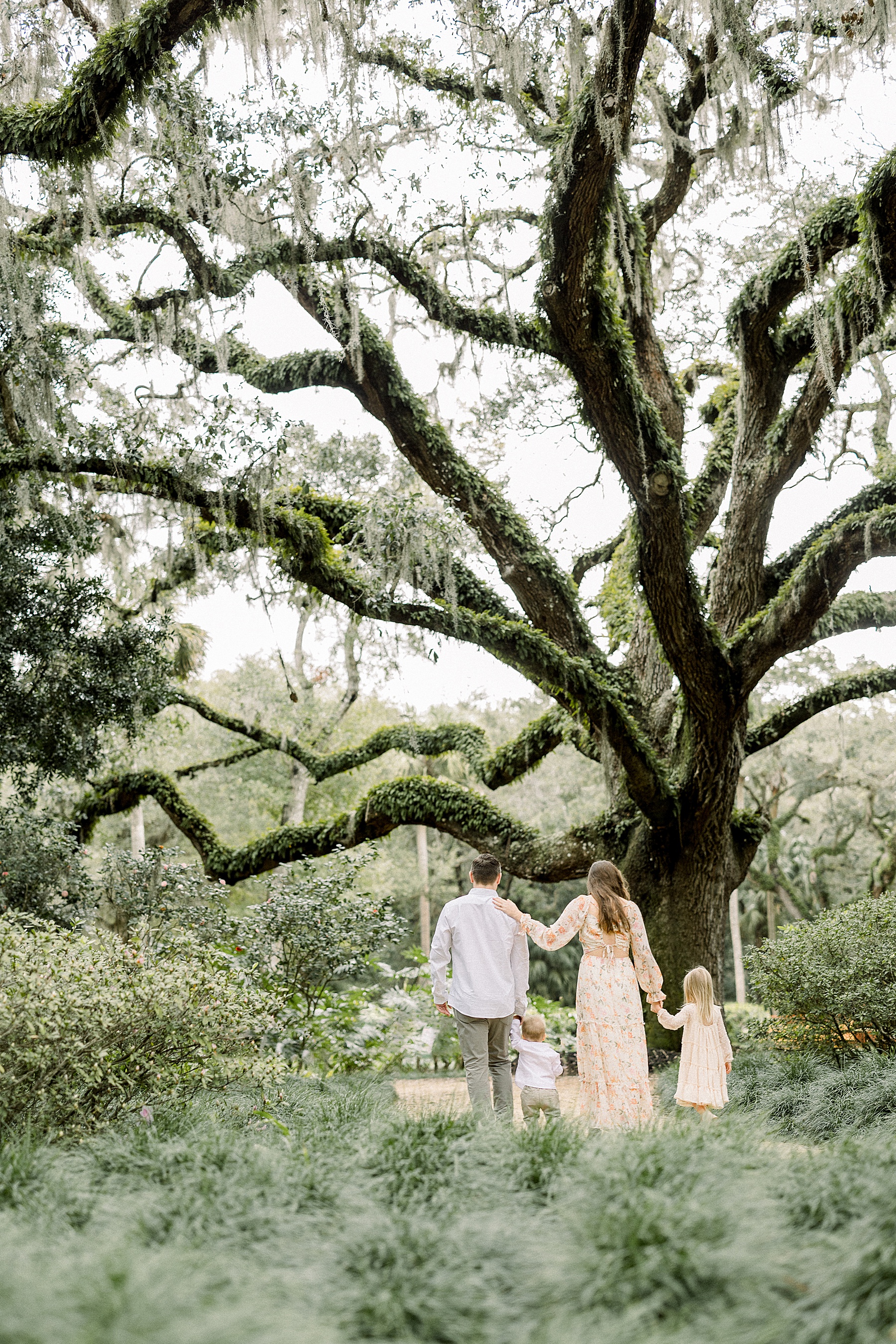 family standing by historic oak tree at Washington Oaks Gardens State Park