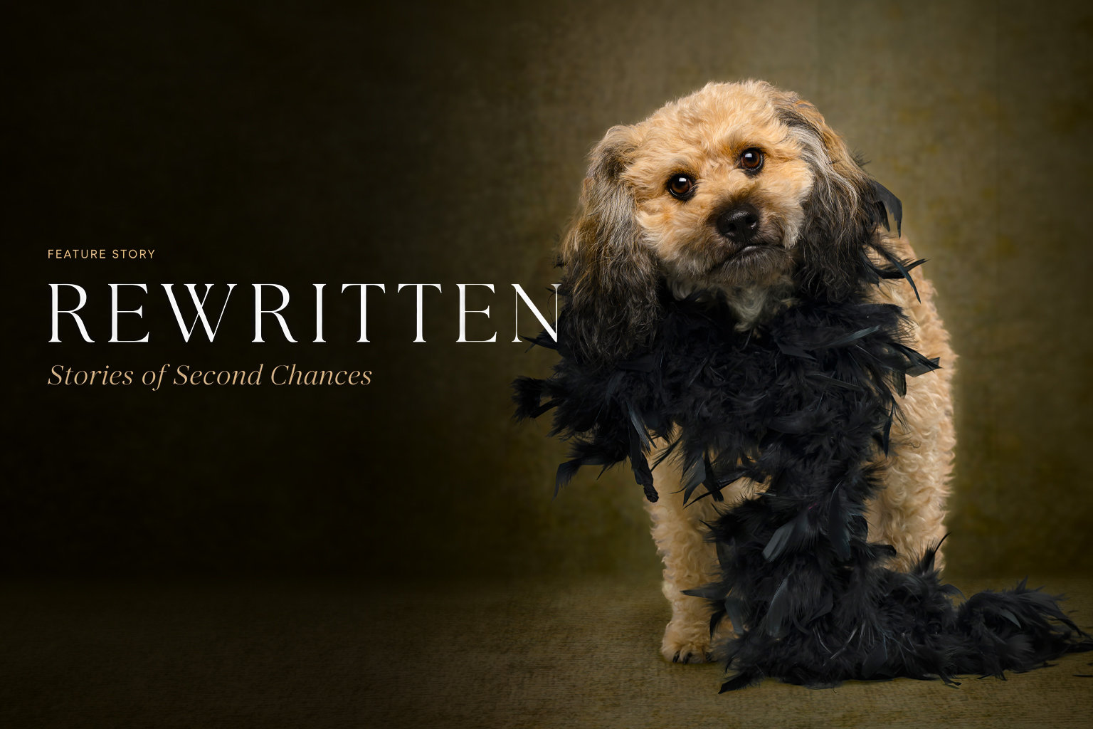REWRITTEN — Stories of Second Chances