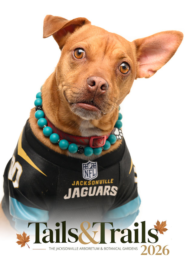Tails and Trails 2026 dog portrait
