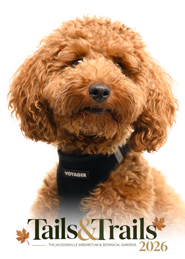 Tails and Trails 2026 dog portrait