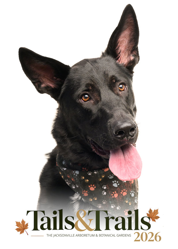 Tails and Trails 2026 dog portrait