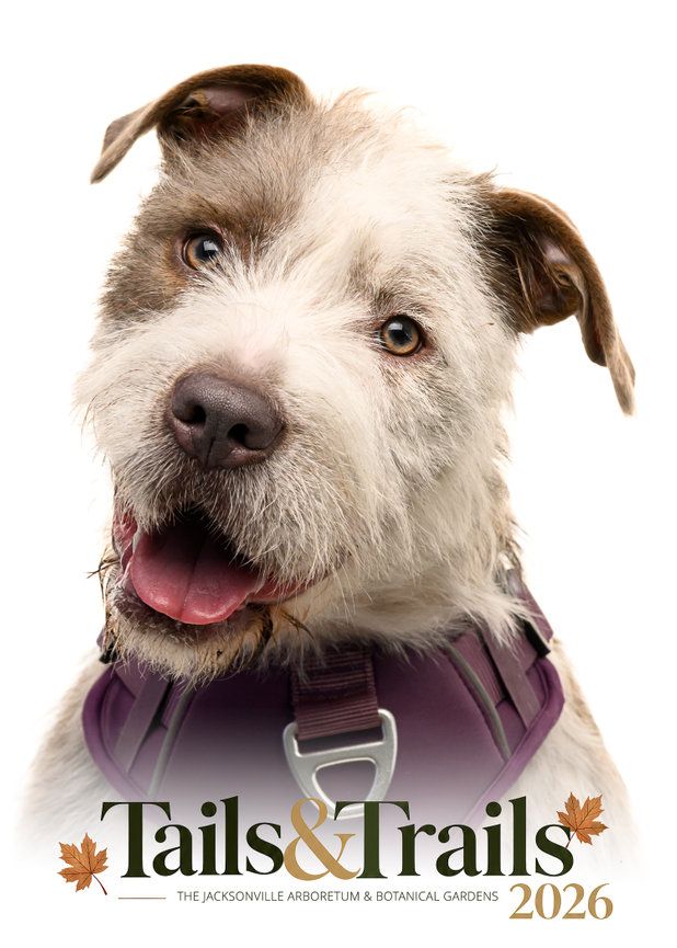 Tails and Trails 2026 dog portrait