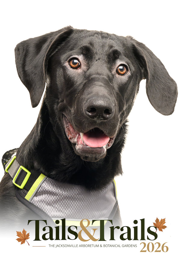 Tails and Trails 2026 dog portrait
